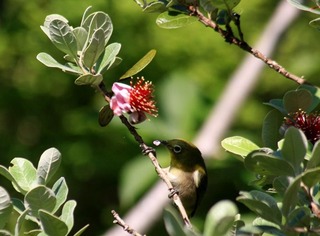 IMG_9153.jpg