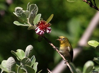 IMG_9154.jpg