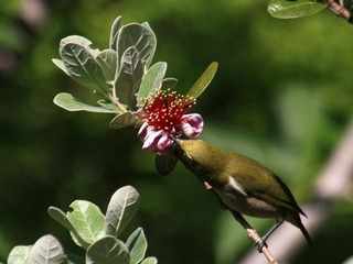 IMG_9158.jpg