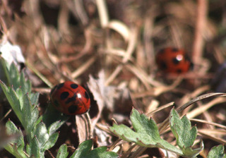 IMG_9227.jpg
