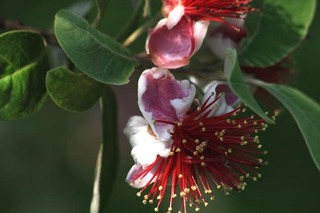 IMG_9258.jpg