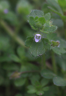 IMG_9392.jpg