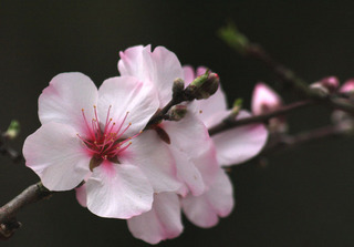 IMG_9410.jpg
