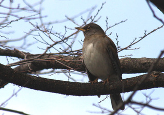 IMG_9444.jpg