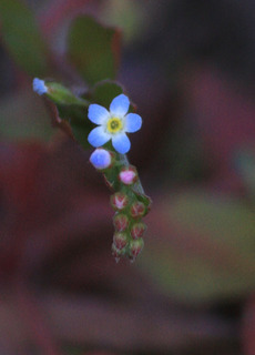 IMG_9592.jpg