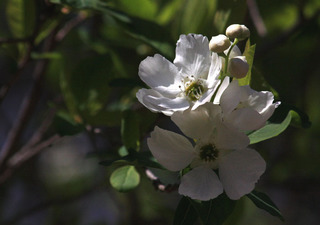 IMG_9790.jpg
