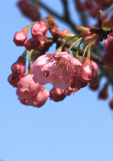 IMG_9870.jpg