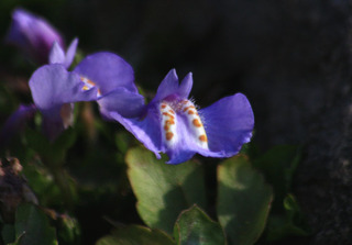IMG_9878.jpg