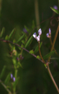 IMG_9889.jpg