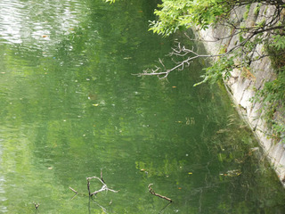 P1000552.jpg