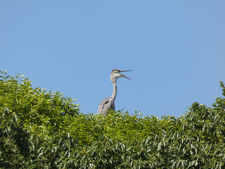 P1000815.jpg