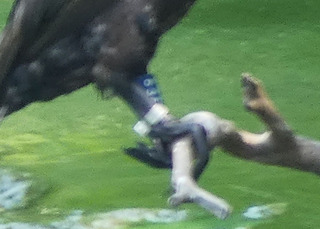 P1010164.jpg