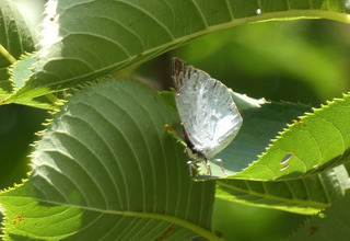 P1010264.jpg