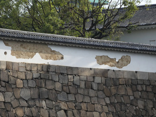P1010344.jpg