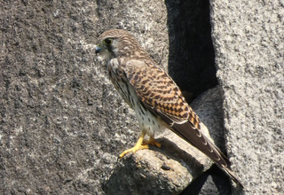 P1010442.jpg