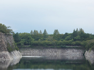 P1010447.jpg