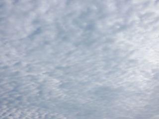 P1010516.jpg