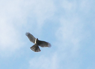 P1010720.jpg
