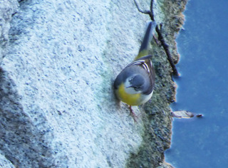 P1010842.jpg