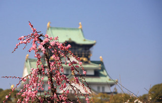 IMG_5078.jpg