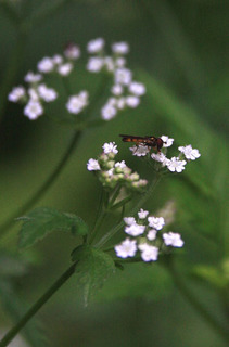 IMG_5314.jpg