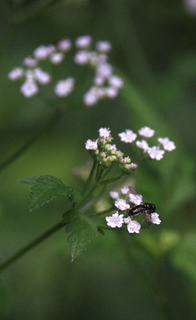 IMG_5316.jpg