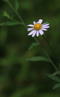 IMG_5874.jpg