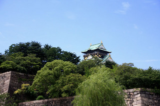 IMG_6232.jpg