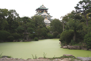 IMG_6570.jpg