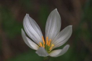 IMG_6865.jpg