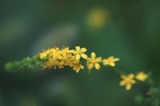 IMG_7162.jpg
