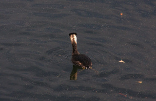 IMG_7865.jpg