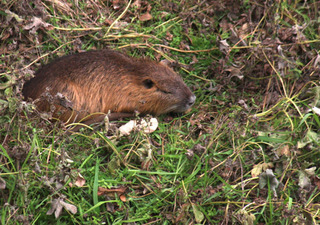 IMG_8254.jpg